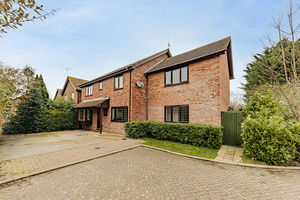 Photo 11- click for photo gallery